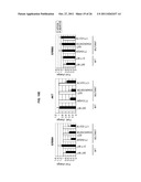 USE OF ERBB4 AS A PROGNOSTIC AND THERAPEUTIC MARKER FOR MELANOMA diagram and image
