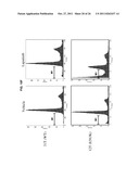 USE OF ERBB4 AS A PROGNOSTIC AND THERAPEUTIC MARKER FOR MELANOMA diagram and image