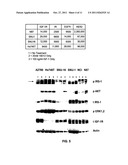 METHODS OF TREATMENT diagram and image