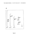 CIS-ACTING DIVERSIFICATION ACTIVATOR AND METHOD FOR SELECTIVE     DIVERSIFICATION OF NUCLEIC ACIDS diagram and image