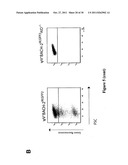 CIS-ACTING DIVERSIFICATION ACTIVATOR AND METHOD FOR SELECTIVE     DIVERSIFICATION OF NUCLEIC ACIDS diagram and image