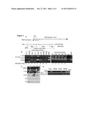 MARKER FOR COLON CANCER AND METHOD FOR DETECTING COLON CANCER diagram and image