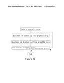 METHOD FOR PRETREATING SPECIMEN AND METHOD FOR ASSAYING BIOLOGICAL     SUBSTANCE diagram and image