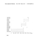 Screening and Treatment Methods Using IGS5 Enzymes of the Metalloprotease     Family diagram and image