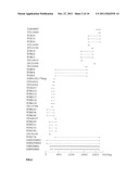 Screening and Treatment Methods Using IGS5 Enzymes of the Metalloprotease     Family diagram and image