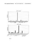 Screening and Treatment Methods Using IGS5 Enzymes of the Metalloprotease     Family diagram and image