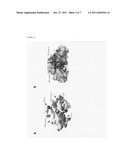 CONSTRUCTION AND CRYSTALLIZATION OF EXPRESSION SYSTEM FOR RNA POLYMERASE     PB1-PB2 PROTEIN DERIVED FROM INFLUENZA VIRUS diagram and image