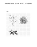 CONSTRUCTION AND CRYSTALLIZATION OF EXPRESSION SYSTEM FOR RNA POLYMERASE     PB1-PB2 PROTEIN DERIVED FROM INFLUENZA VIRUS diagram and image