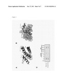 CONSTRUCTION AND CRYSTALLIZATION OF EXPRESSION SYSTEM FOR RNA POLYMERASE     PB1-PB2 PROTEIN DERIVED FROM INFLUENZA VIRUS diagram and image