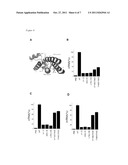 CONSTRUCTION AND CRYSTALLIZATION OF EXPRESSION SYSTEM FOR RNA POLYMERASE     PB1-PB2 PROTEIN DERIVED FROM INFLUENZA VIRUS diagram and image