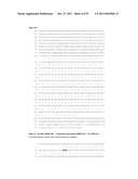 ANTIBODIES THAT BIND TO PSCA PROTEINS FOR DIAGNOSIS OF CANCER diagram and image