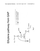 ENGINEERED CO2 FIXING MICROORGANISMS PRODUCING CARBON-BASED PRODUCTS OF     INTEREST diagram and image