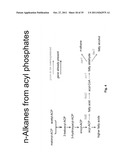 ENGINEERED CO2 FIXING MICROORGANISMS PRODUCING CARBON-BASED PRODUCTS OF     INTEREST diagram and image