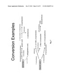 ENGINEERED CO2 FIXING MICROORGANISMS PRODUCING CARBON-BASED PRODUCTS OF     INTEREST diagram and image