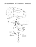 ENGINEERED CO2 FIXING MICROORGANISMS PRODUCING CARBON-BASED PRODUCTS OF     INTEREST diagram and image