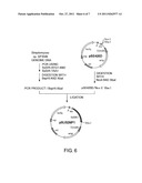 PROCESS FOR PRODUCTION OF OPTICALLY ACTIVE AMINE DERIVATIVE diagram and image