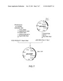 PROCESS FOR PRODUCTION OF OPTICALLY ACTIVE AMINE DERIVATIVE diagram and image