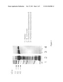 METHODS AND COMPOSITIONS FOR ENHANCED BACTERIAL HYDROLYSIS OF CELLULOSIC     FEEDSTOCKS diagram and image