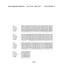 Microbacterial Peptide Deformylase diagram and image