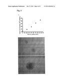 Expansion of Embryonic Stem Cells diagram and image