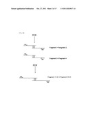 TECHNIQUE FOR REGULATING REGENRATION OF TISSUE OR FAULTY OR ABNORMAL PART     IN ORGAN USING NELL-1 diagram and image