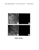 POLYMERIC MATERIALS INCORPORATING CORE-SHELL SILICA NANOPARTICLES diagram and image