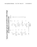 PRODRUGS AND DRUG-MACROMOLECULE CONJUGATES HAVING CONTROLLED DRUG RELEASE     RATES diagram and image