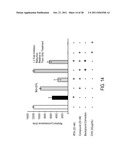 SMALL-MOLECULE INHIBITORS OF PROTEIN SYNTHESIS INACTIVATING TOXINS diagram and image