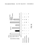 SMALL-MOLECULE INHIBITORS OF PROTEIN SYNTHESIS INACTIVATING TOXINS diagram and image