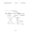 Aryl-substituted bridged or fused diamines as modulators of leukotriene A4     hydrolase diagram and image