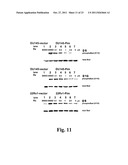 Inhibitors of PIM-1 Protein Kinases, Compositions and Methods for Treating     Prostate Cancer diagram and image