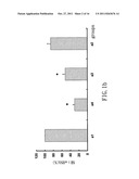 SMALL INTERFERING RNA FOR GENE KNOCKDOWN OF THE SUBCUTANEOUS     N-METHYL-D-ASPARTATE RECEPTOR NR1 SUBUNIT, AND IT S APPLICATION ON     PHARMACEUTICS diagram and image