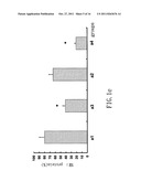 SMALL INTERFERING RNA FOR GENE KNOCKDOWN OF THE SUBCUTANEOUS     N-METHYL-D-ASPARTATE RECEPTOR NR1 SUBUNIT, AND IT S APPLICATION ON     PHARMACEUTICS diagram and image