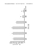 SMALL INTERFERING RNA FOR GENE KNOCKDOWN OF THE SUBCUTANEOUS     N-METHYL-D-ASPARTATE RECEPTOR NR1 SUBUNIT, AND IT S APPLICATION ON     PHARMACEUTICS diagram and image