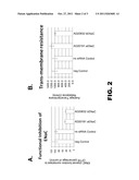 Organic Compositions to Treat Beta-ENaC-Related Diseases diagram and image