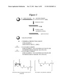 RNA Interference Mediated Inhibition of Gene Expression Using Chemically     Modified Short Interfering Nucleic Acid (siNA) diagram and image