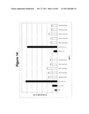 RNA Interference Mediated Inhibition of Gene Expression Using Chemically     Modified Short Interfering Nucleic Acid (siNA) diagram and image