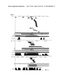 RNA MOLECULES AND USES THEREOF diagram and image