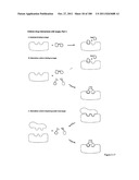 COFERONS AND METHODS OF MAKING AND USING THEM diagram and image