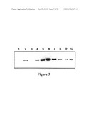 Methods and Compositions for use in Gene Therapy for Treatment of     Hemophilia diagram and image