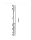 Methods and Compositions for use in Gene Therapy for Treatment of     Hemophilia diagram and image