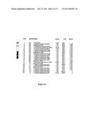 CELASTROL, GEDUNIN, AND DERIVATIVES THEREOF AS HSP90 INHIBITORS diagram and image