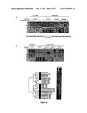 CELASTROL, GEDUNIN, AND DERIVATIVES THEREOF AS HSP90 INHIBITORS diagram and image