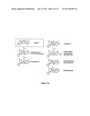 CELASTROL, GEDUNIN, AND DERIVATIVES THEREOF AS HSP90 INHIBITORS diagram and image