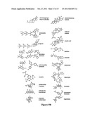 CELASTROL, GEDUNIN, AND DERIVATIVES THEREOF AS HSP90 INHIBITORS diagram and image