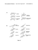 CELASTROL, GEDUNIN, AND DERIVATIVES THEREOF AS HSP90 INHIBITORS diagram and image