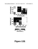 CELASTROL, GEDUNIN, AND DERIVATIVES THEREOF AS HSP90 INHIBITORS diagram and image