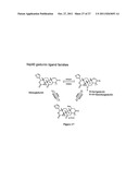 CELASTROL, GEDUNIN, AND DERIVATIVES THEREOF AS HSP90 INHIBITORS diagram and image