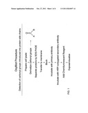 Methods of Reducing Oxidative Modification of a Muscle Cell Protein diagram and image