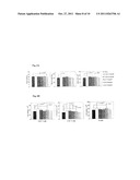 METHOD FOR ENHANCING THE DNA REPAIR PROCESS, TREATING DISORDERS ASSOCIATED     WITH THE DNA REPAIR PROCESS, ENHANCING ANTITUMOR RESPONSE AND TREATING     DISORDERS ASSOCIATED WITH ANTI-TUMOR RESPONSE IN MAMMALS BY ADMINISTERING     PRUIFIED QUINIC ACID AND/OR CARBOXY ALKYL ESTER diagram and image